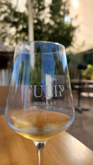 L'chaim! 🥂 at Tulip Winery in Kiryat Tivon