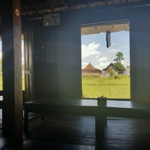 paddy field view at Soma Yoga - Vegi Jawi in Depok