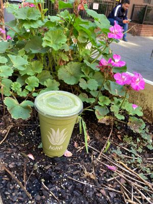 Smoothie at Agavi in New York City