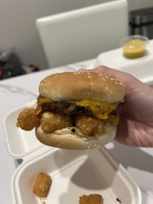 Tot Burger (impossible patty, cheddar cheese, special sauce, onion, tater tots, on a sesame seed bun)  at The Trashy Vegan in Asheville