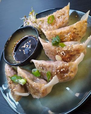 Gyozas at Yami Vegan Sushi in Katowice