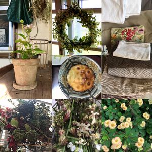 The herb are decorated everywhere in the house. at Taketomi Island Guest House 竹富島ゲストハウス in Taketomi