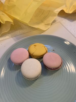 Macaronis   at Arapina in South East London