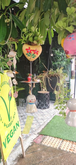 Little oasis at Veganecessity Cafe in Phuket