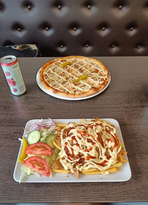 Vegan kebab plate and vegan kebab pizza at Mårtens Pizzeria in Hoeoer