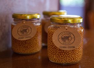 Mostarda em Picles. Só Levá! at 3 em 1 Alimentos +Saudáveis in Garopaba