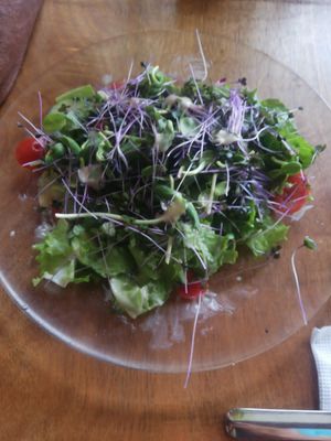  at Rinconcito Vegano in Boquete