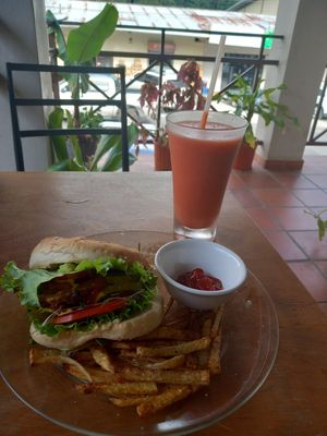  at Rinconcito Vegano in Boquete
