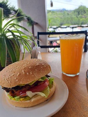 Burger + freshly pressed tangerine juice 😋 at Rinconcito Vegano in Boquete