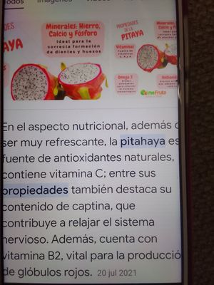  at Rinconcito Vegano in Boquete