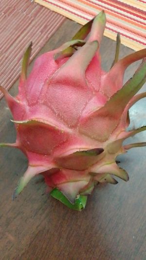  at Rinconcito Vegano in Boquete