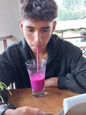  at Rinconcito Vegano in Boquete