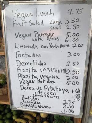   at Rinconcito Vegano in Boquete