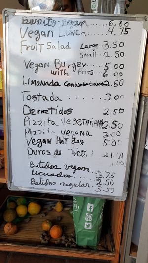 Menu at Rinconcito Vegano in Boquete