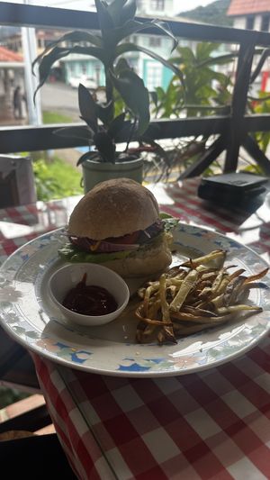 vegan burger with fries  at Rinconcito Vegano in Boquete