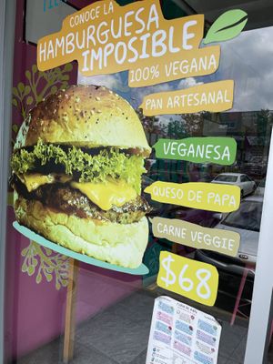   at Flor de Anis in Xalapa