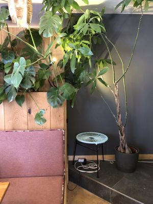 Inside   at Joy of Madhu (Noams) in Munich