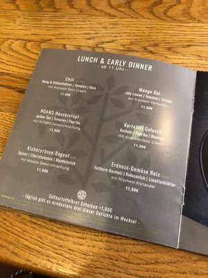 Lunch and dinner   at Joy of Madhu (Noams) in Munich