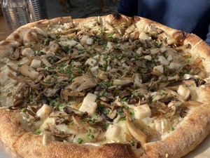 Mushroom pizza with vegan cheese  at PizzaHacker in Mill Valley