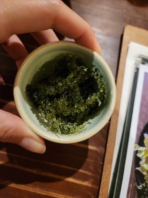 Sea grapes at Tamatebako in Naha