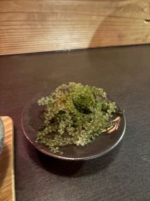 Sea Grapes   at Tamatebako in Naha