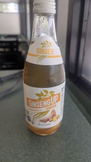 I got the ginger ale at Fela's Vegetarian Restaurant in San Juan