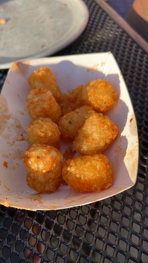 Tots : super yummy  at Element Gastropub in Raleigh