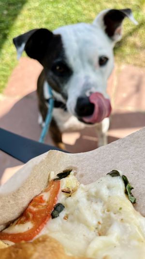 A snack for our Baby! The owner brought it out especially for her.  at 2 Guys Pizza in Hendersonville