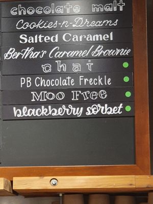 vegan flavors  at Whistlepunk Ice Cream Co in Leavenworth