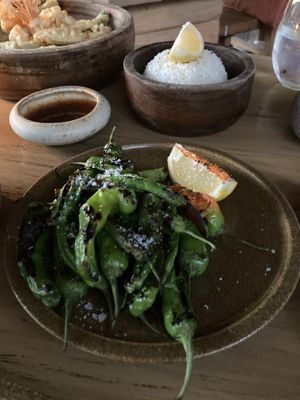 Shishito peppers  at Funky Geisha in Tulum