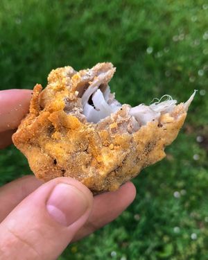 Jackfruit Nugget inside  at Caribbean Kitchen in Stourbridge