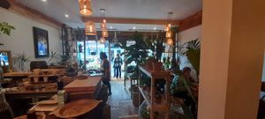 Biophilic interior at Dane & Port - Natural Kitchen in Bournemouth