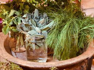 Plant design at Dane & Port - Natural Kitchen in Bournemouth
