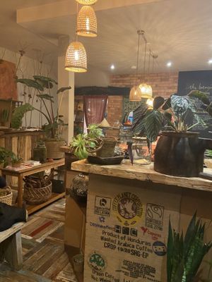   at Dane & Port - Natural Kitchen in Bournemouth