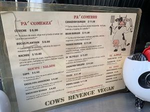  at Cow's Revenge Vegan in Panama City