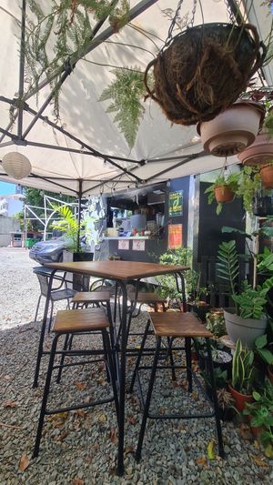  at Cow's Revenge Vegan in Panama City