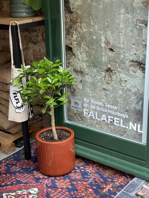 Spot the HappyCow decal!  at FLFL - Utrecht in Utrecht