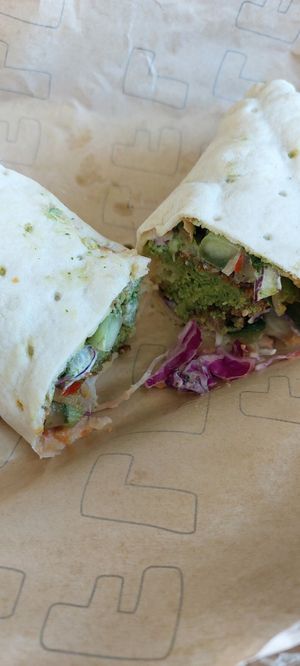  at FLFL - Carolieweg in Groningen