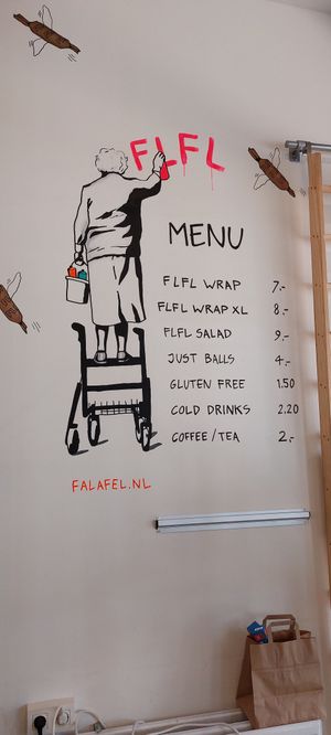  at FLFL - Carolieweg in Groningen