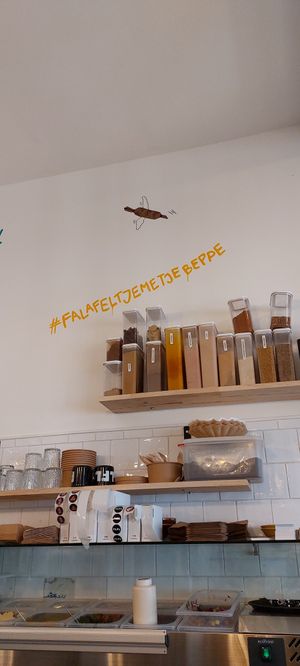  at FLFL - Carolieweg in Groningen