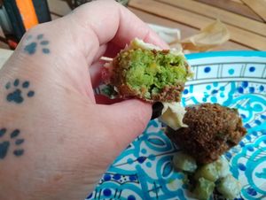  at FLFL - Carolieweg in Groningen