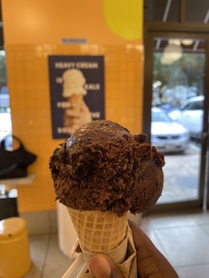 Fudge brownie vegan icecream   at Van Leeuwen in Houston