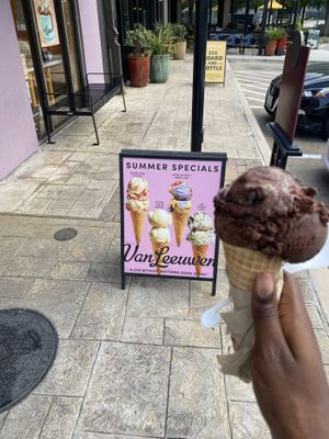   at Van Leeuwen in Houston