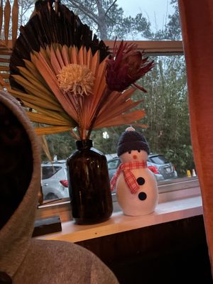   at Sea Wolf Tybee in Tybee Island