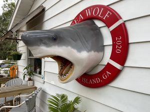   at Sea Wolf Tybee in Tybee Island
