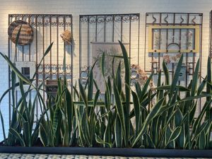 Interior   at Flower Child in Denver