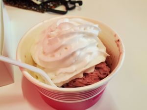 Vegan ice cream cup w/whip at The Nutmeg Fudge Company in Torrington