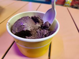 Vegan black raspberry iced cream! So freaking good! at The Nutmeg Fudge Company in Torrington