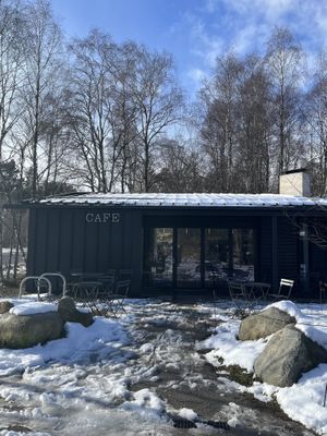 Tarmachan Cafe   at Tarmachan in Ballater