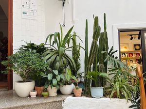 Restaurant interior   at iVegan Supershop Da Nang - Healthy Plant Based Cafe in Da Nang